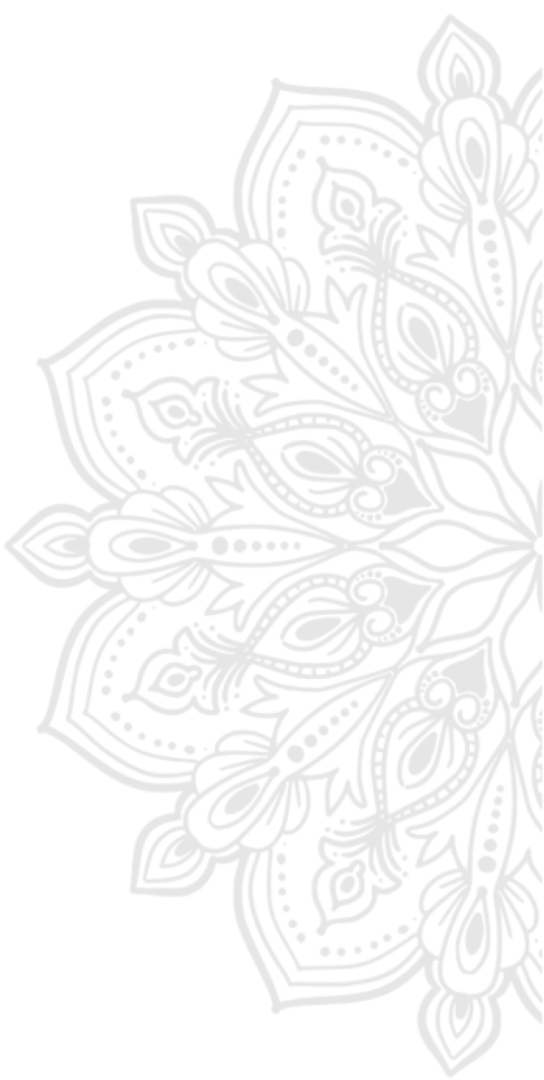 Captura de tela 2024 02 24 172714 removebg preview 1.png