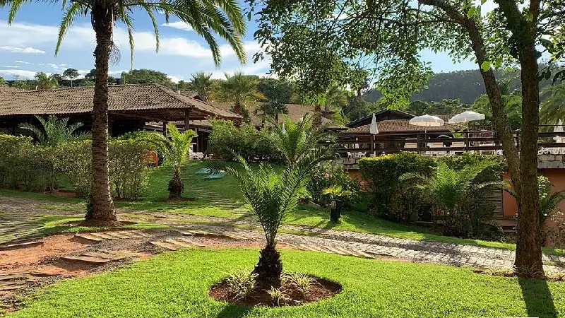 Férias de Julho no Canto da Floresta Ecoresort O Refúgio Perfeito para Relaxar